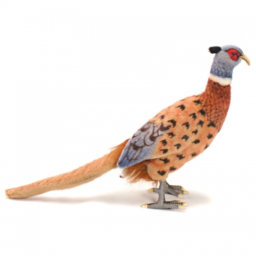 Pheasant Bird Soft Toy by Hansa